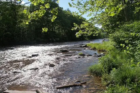 Photo 2 of 7 of Direct Streamside with Private Stream Access