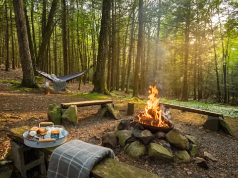 Photo 2 of 7 of Cozy Cabin