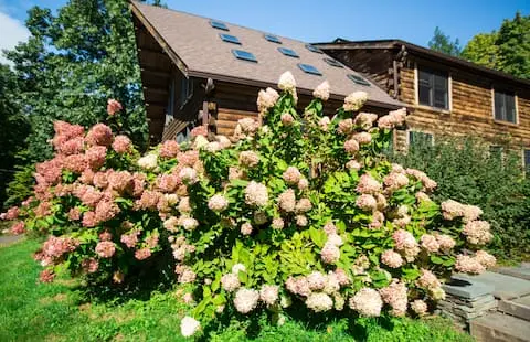 Photo 2 of 7 of An Enchanting Log Cabin in the Heart of