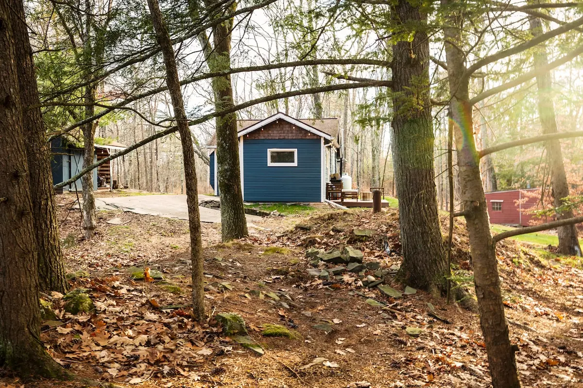 Photo 7 of 7 of Restorative Escape in the Woods