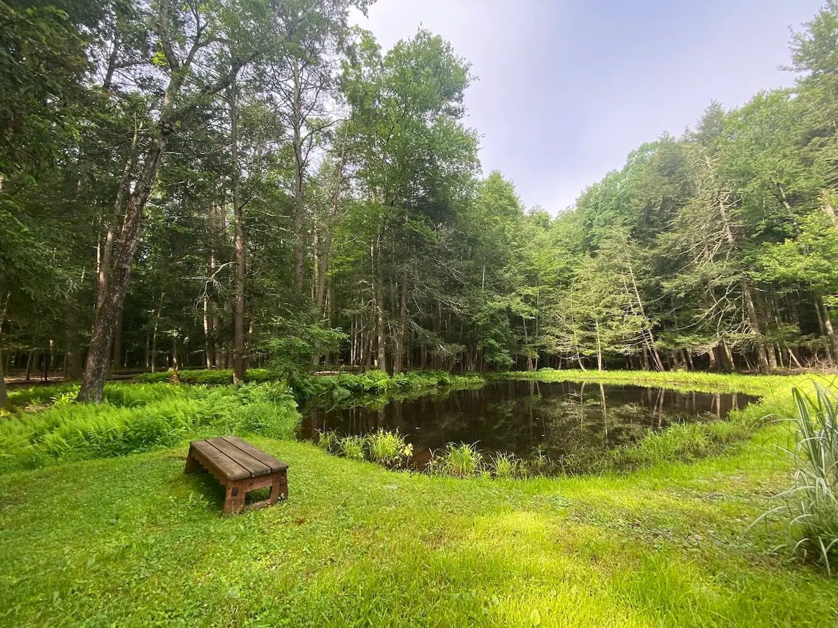 Photo 5 of 7 of Private Modern Home