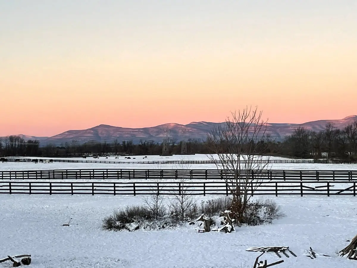 Photo 4 of 5 of Spacious & Homely, Epic Sunsets, 15 Mins to