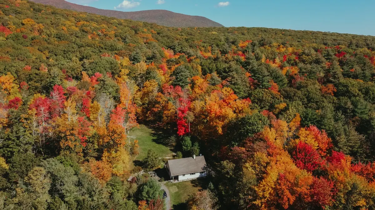 Photo 1 of 7 of Mountain Cottage on Private Acres