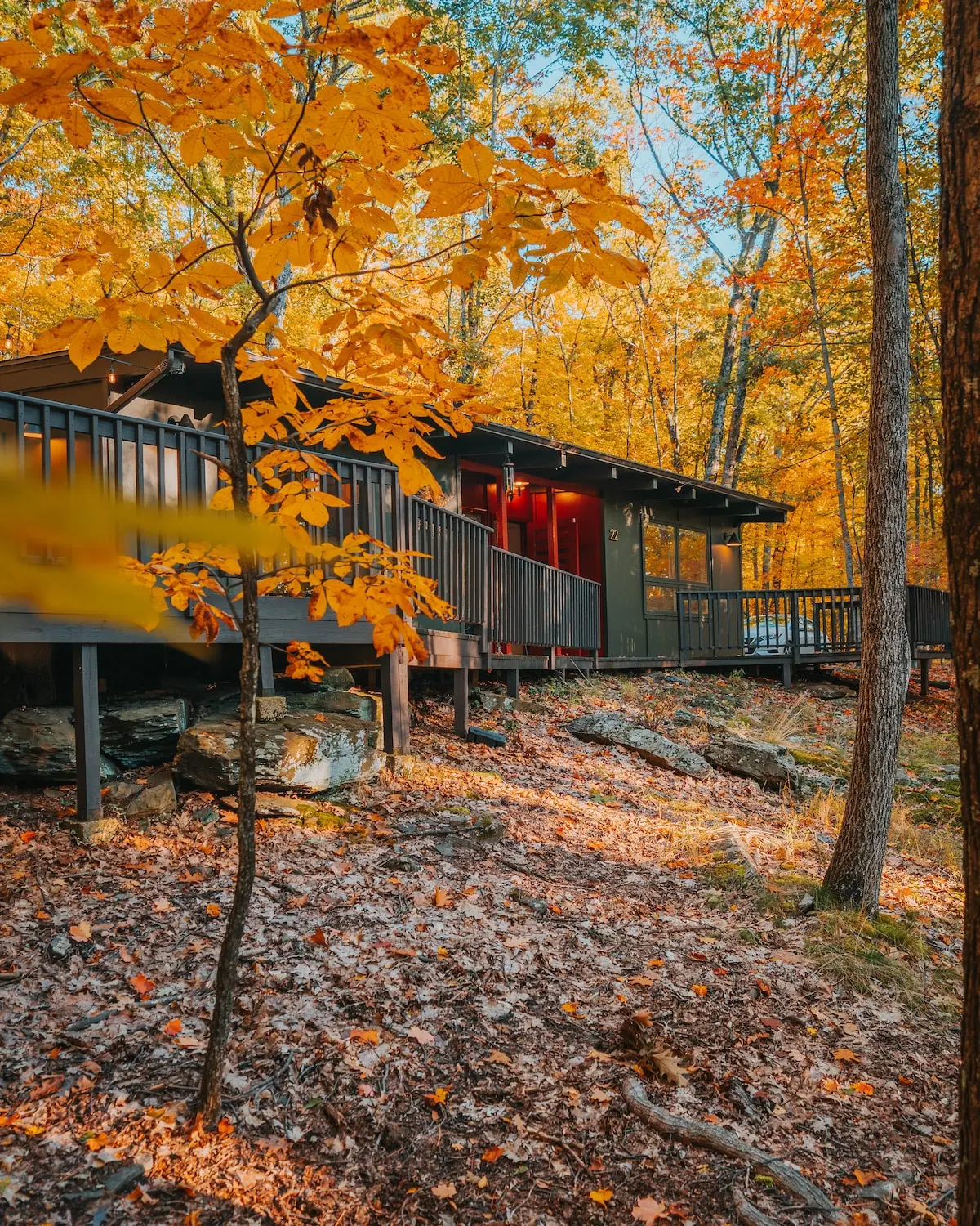 Photo 2 of 4 of Fall Escape