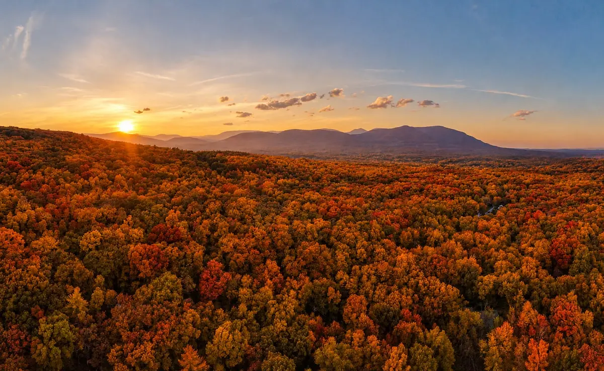 Photo 1 of 4 of Fall Escape